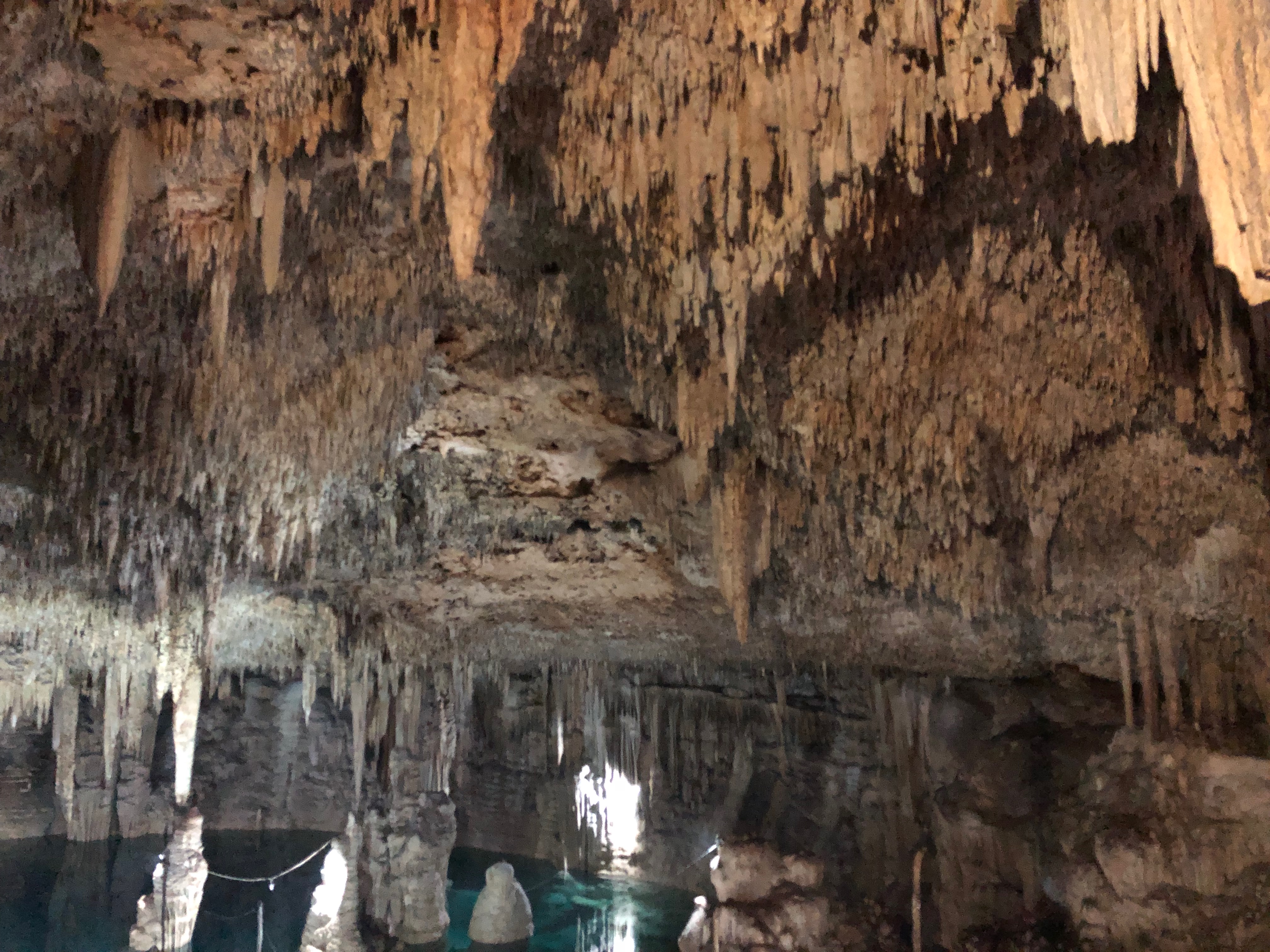 Past Life Regression Amsterdam